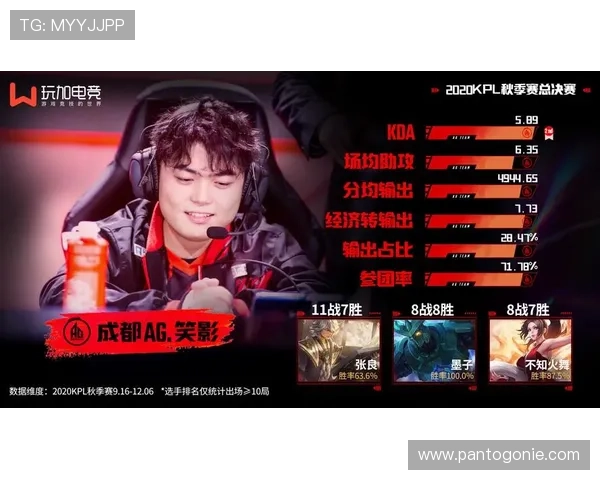 选择合适的AG登录入口，确保账户安全与游戏畅玩体验