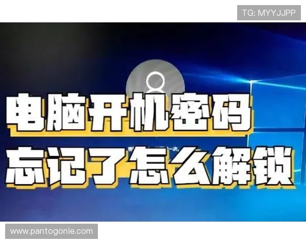 九游官网个人中心登录密码忘记了如何找回完整操作流程与安全验证技巧