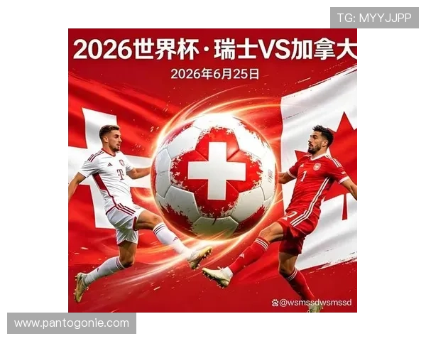 世界杯瑞士VS加拿大比赛场地容量情况及对球队表现的潜在影响