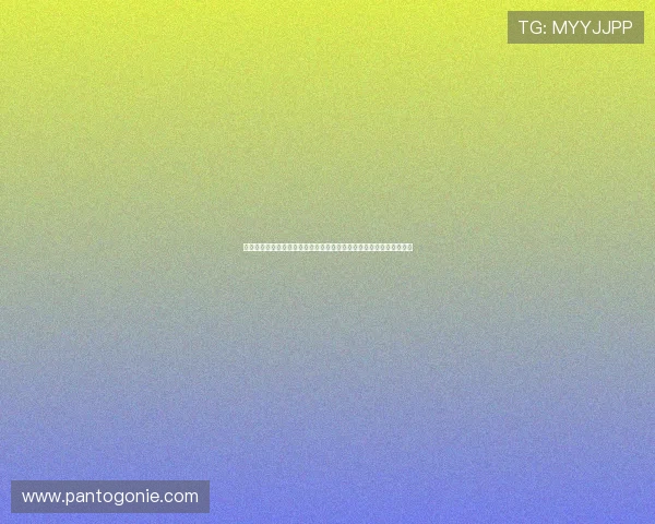 巴拉圭队在世界杯澳大利亚队赛前发布会上的最新动态与教练团队分析