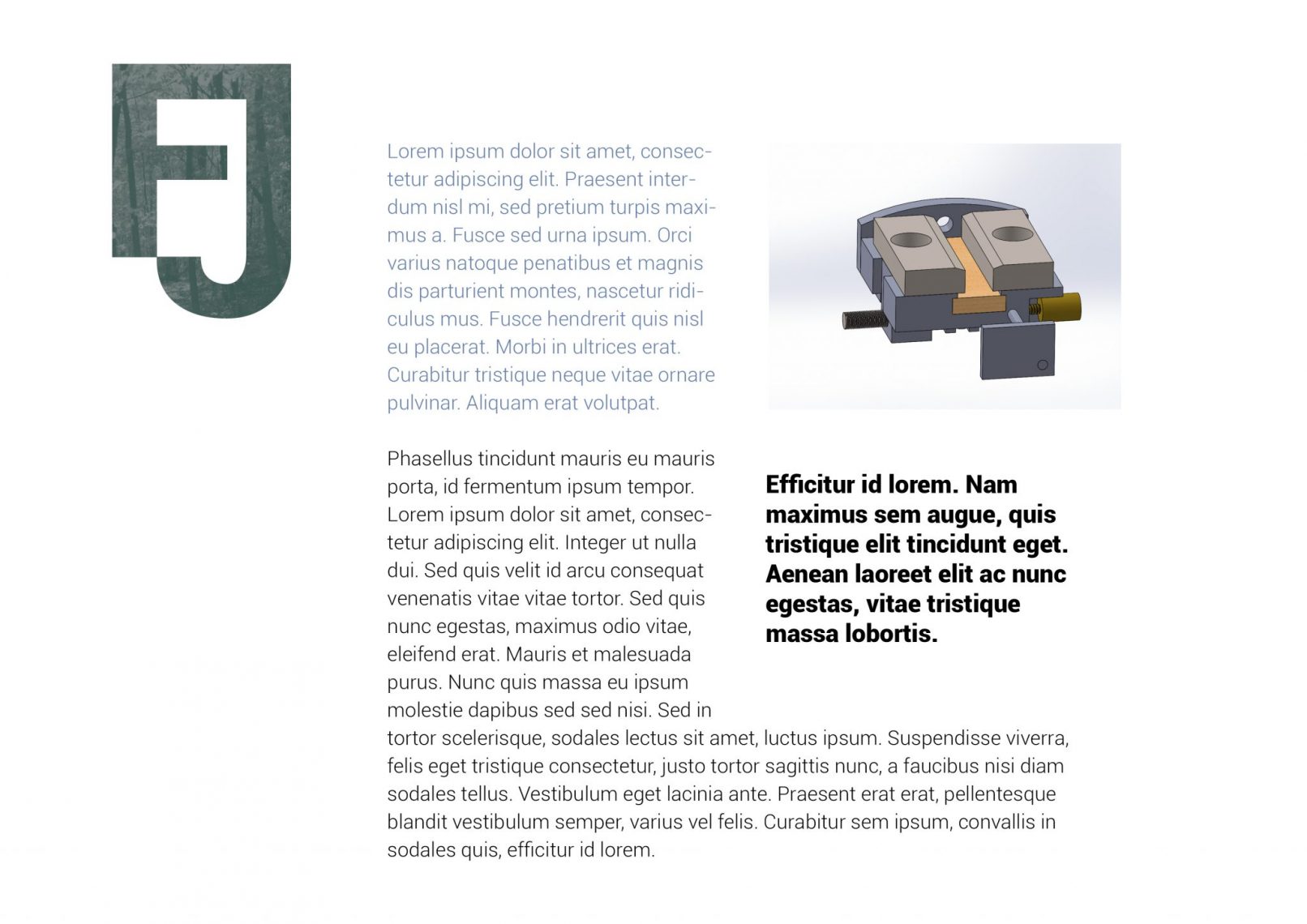 Recherches charte graphique - François-Jérôme Vincent